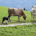 Erlebnishof Schiman