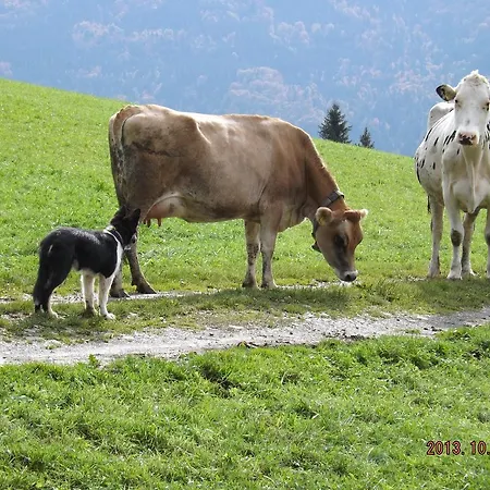 Erlebnishof Schiman